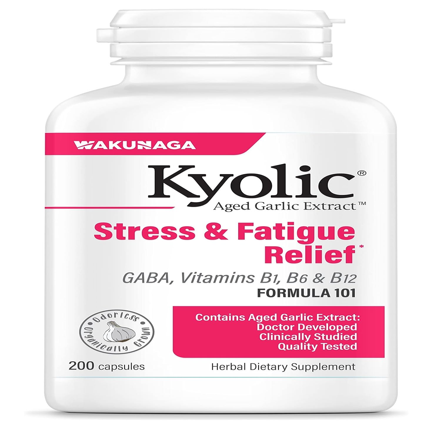 Kyolic Aged Garlic Extract Formula 101 bottle with label