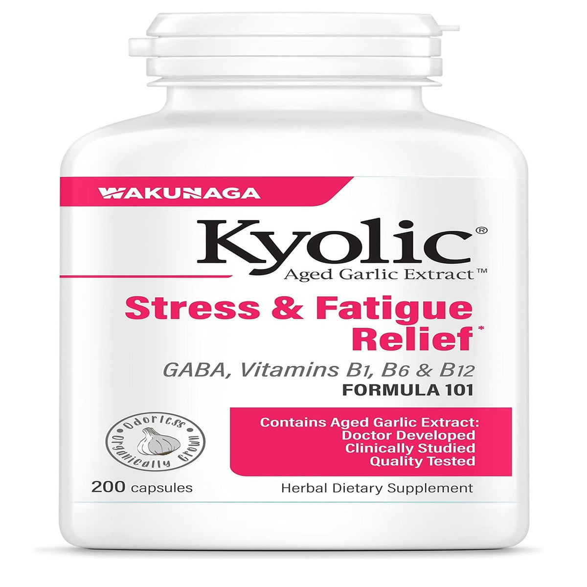 Kyolic Aged Garlic Extract Formula 101 bottle with label