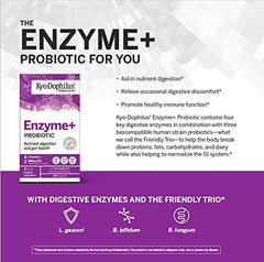Digestive health concept with enzymes and nutrients