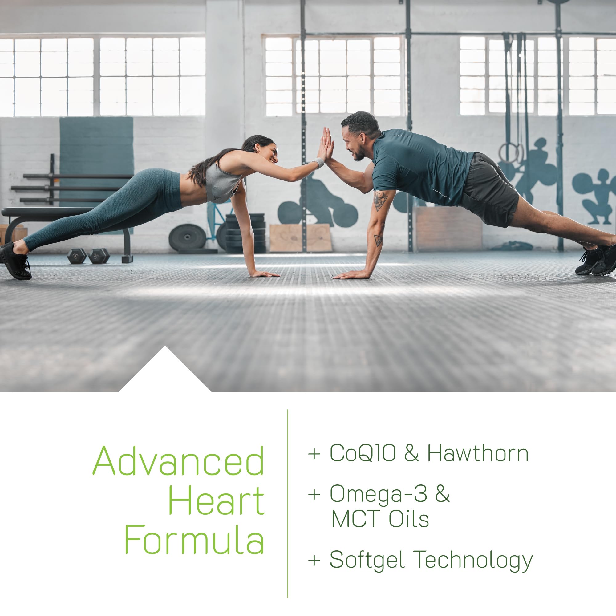 L-citrulline to L-arginine nitric oxide pathway artwork