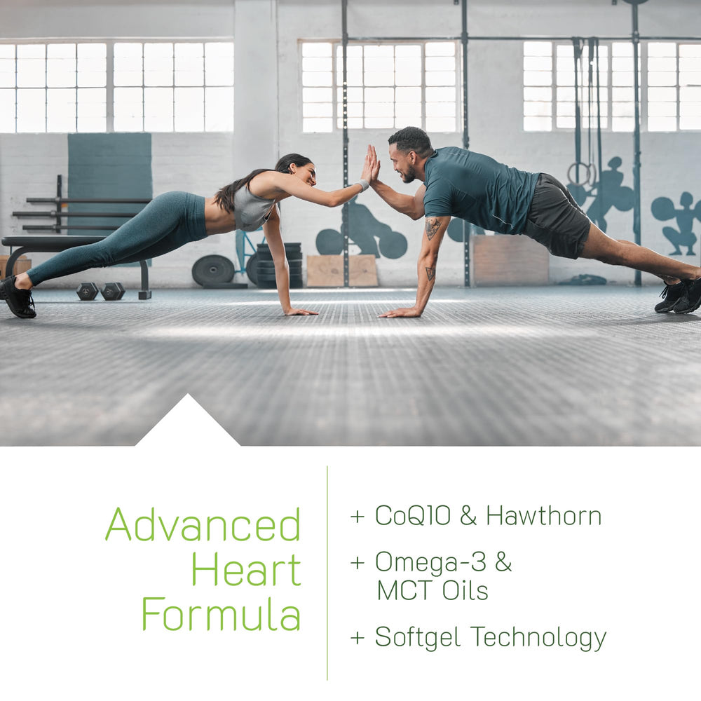 L-citrulline to L-arginine nitric oxide pathway artwork