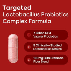 Lactobacillus crispatus strain close-up