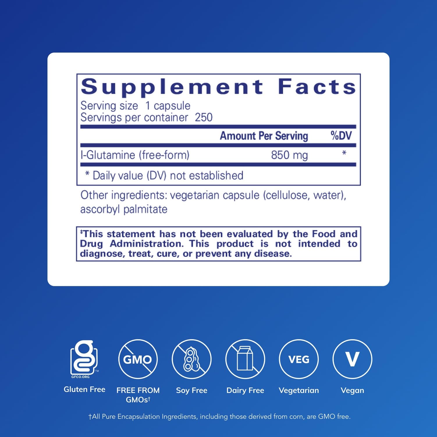 Graphic highlighting L-Glutamine's immune support and digestive benefits