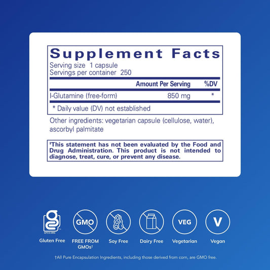 Graphic highlighting L-Glutamine's immune support and digestive benefits