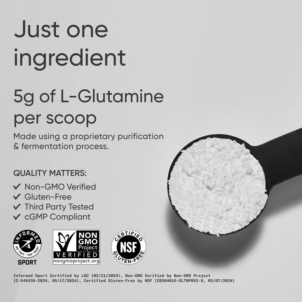 Fermentation process used to produce L-Glutamine