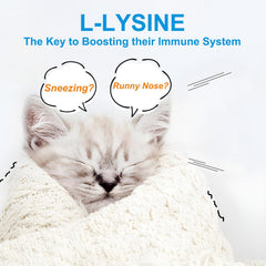 Usage guide showing daily dosage for kittens and adult cats