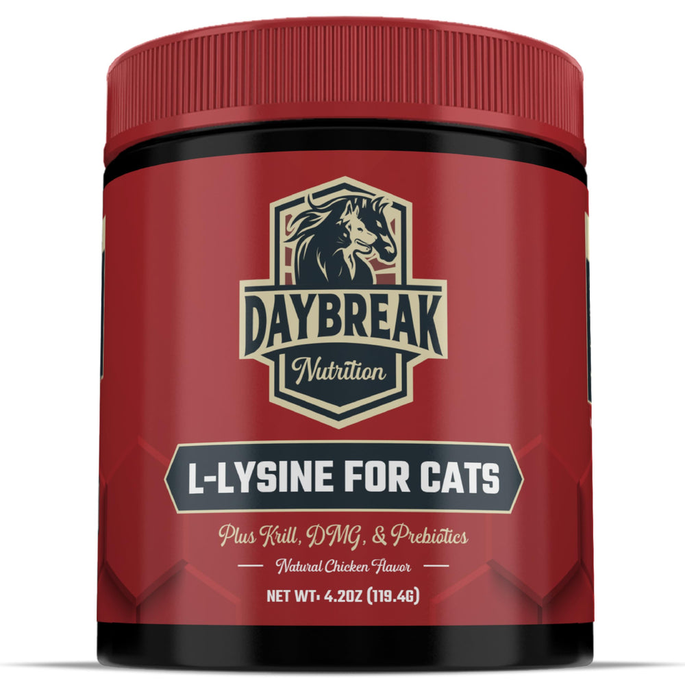 L-Lysine powder for cats and kittens - bottle label close-up