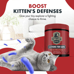 L-Lysine powder bottle with 900 mg per serving and ingredients