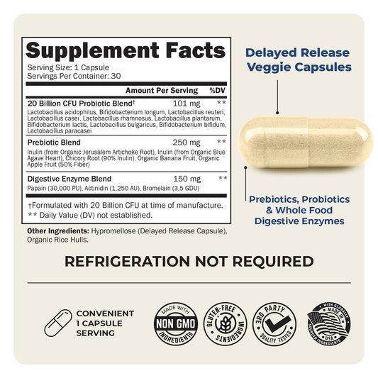 Illustration of L. Reuteri, inulin fiber and digestive enzymes