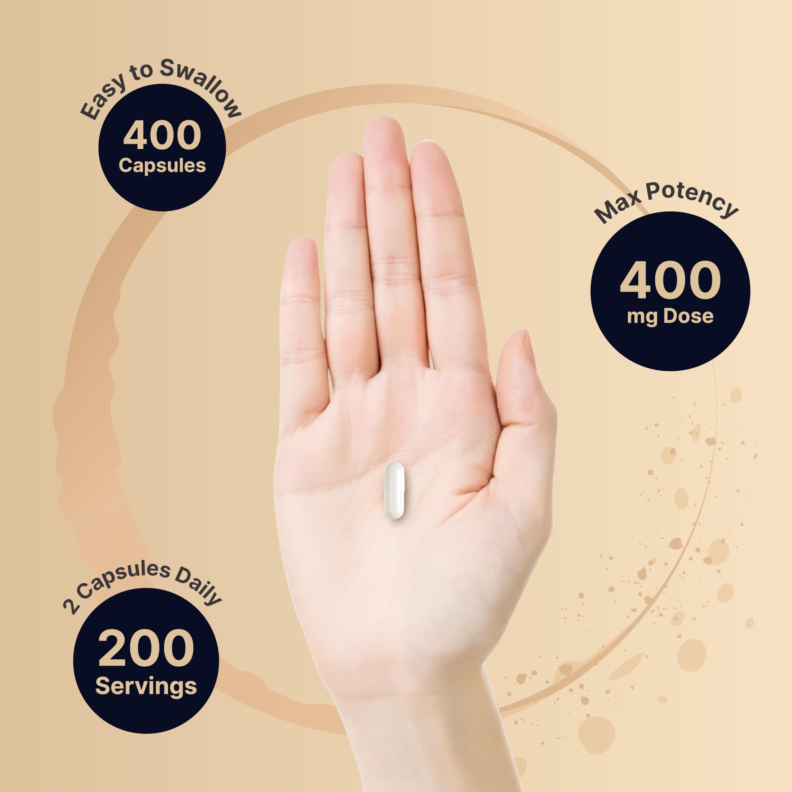 Bulk 400 capsules pack of L-Theanine 400mg