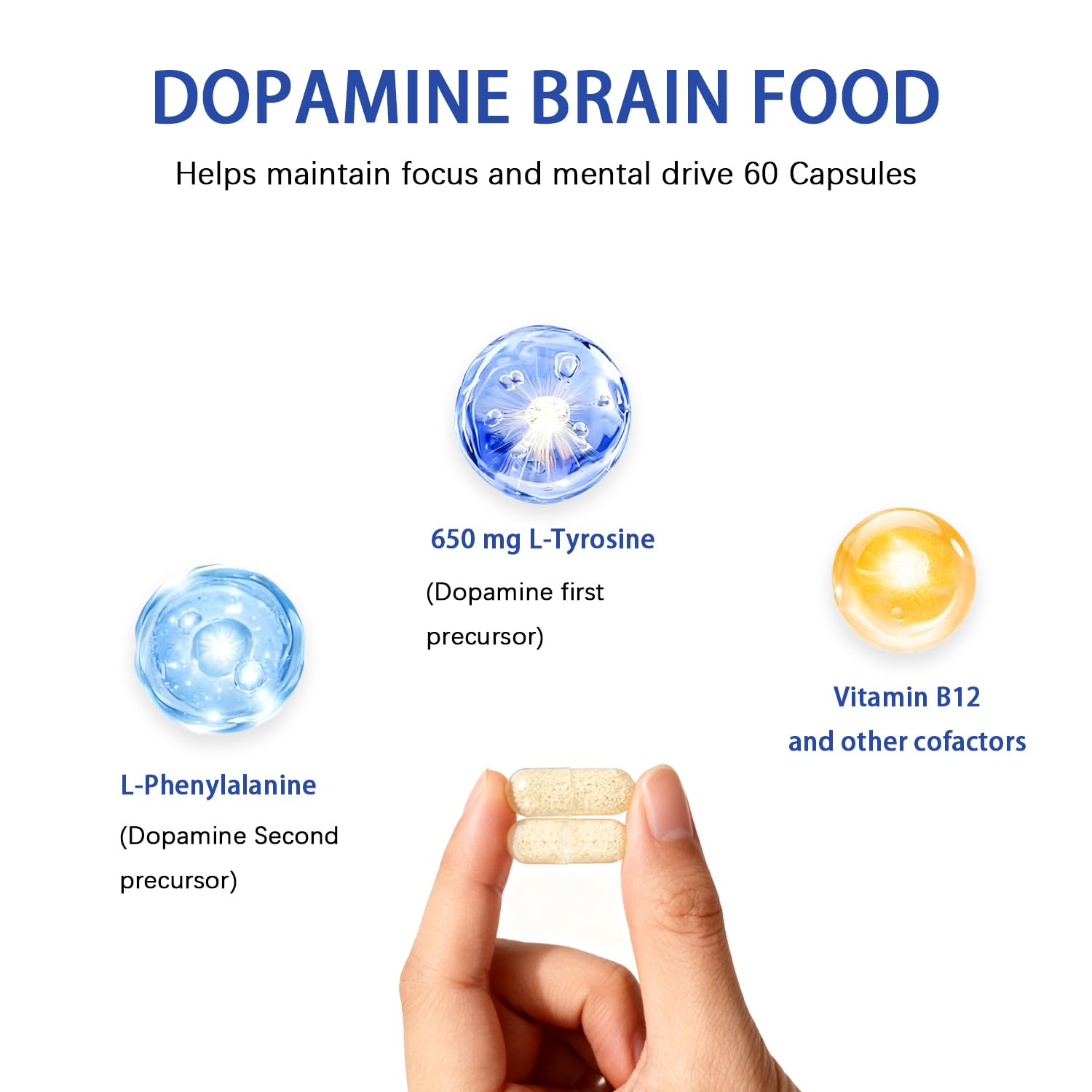 Ingredient highlights featuring L-Tyrosine and B vitamins.