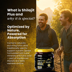 Lab-tested organic Shilajit resin