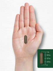 Laboratory tested quality seal on packaging