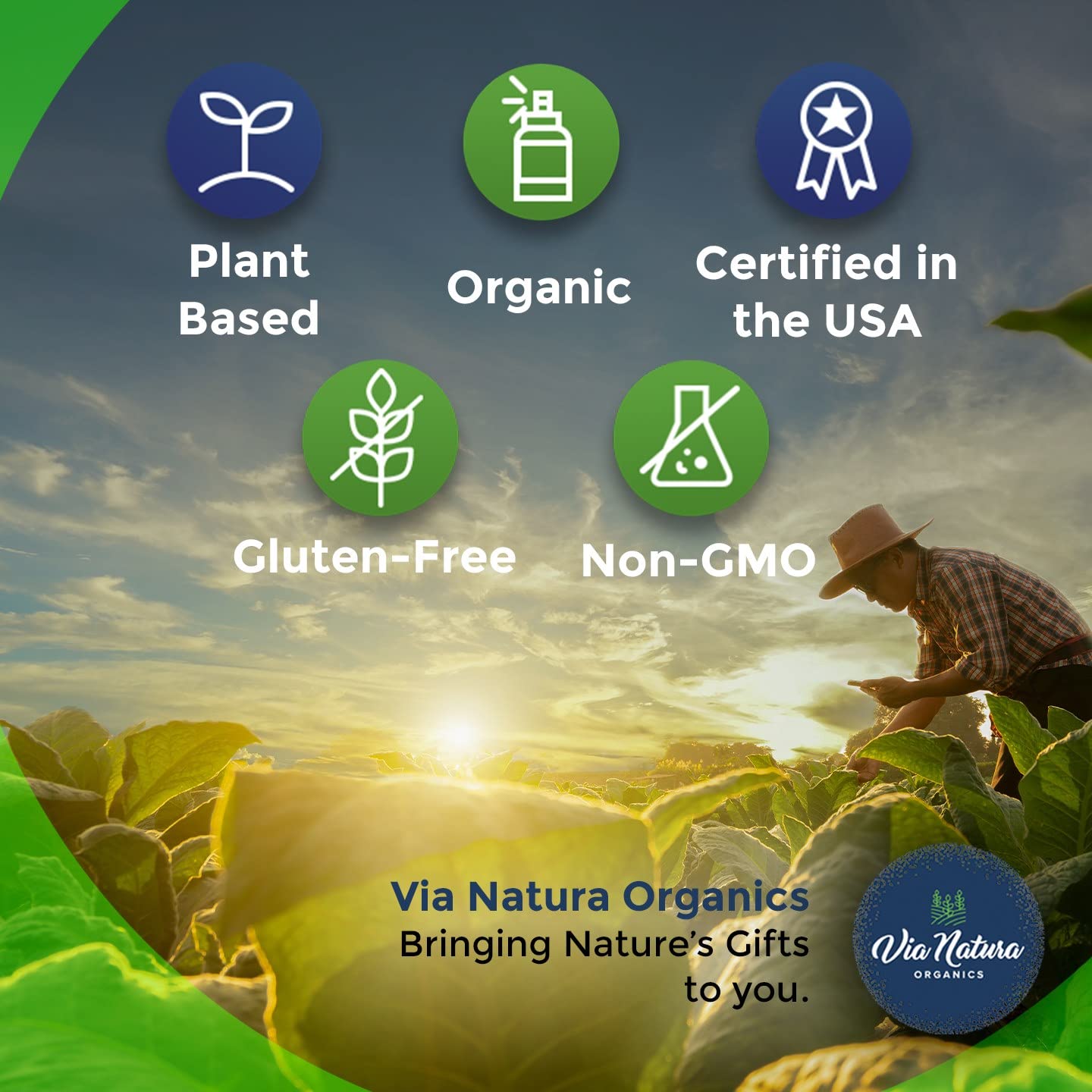 Laboratory testing and quality certification