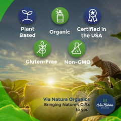 Laboratory testing and quality certification