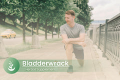 Lab verified certification badge for bladderwrack supplement