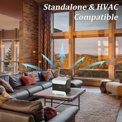 Lacidoll 360-degree diffusion ensures even scent in large rooms.