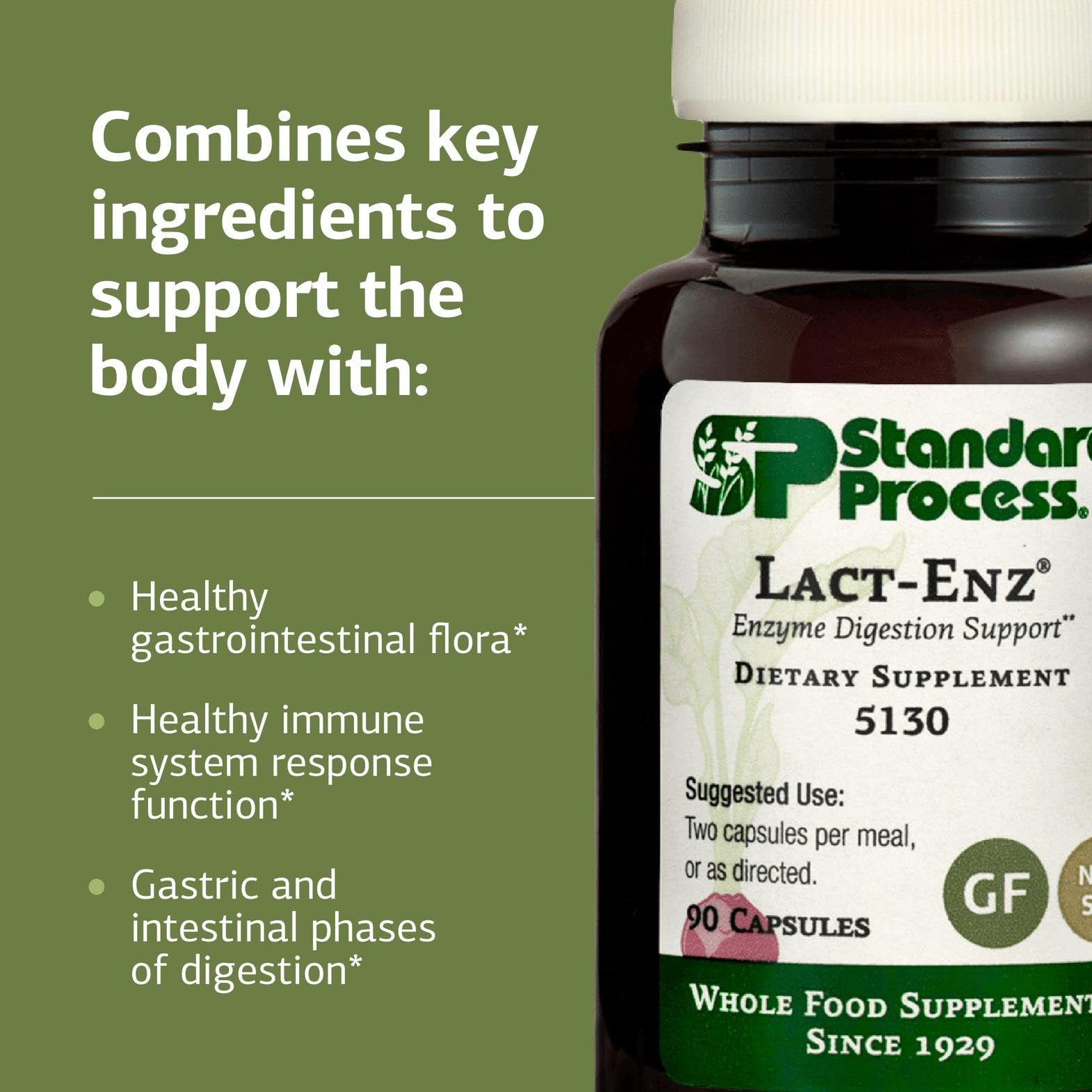 Graphic illustrating immune support and digestive health associated with Lact-ENZ