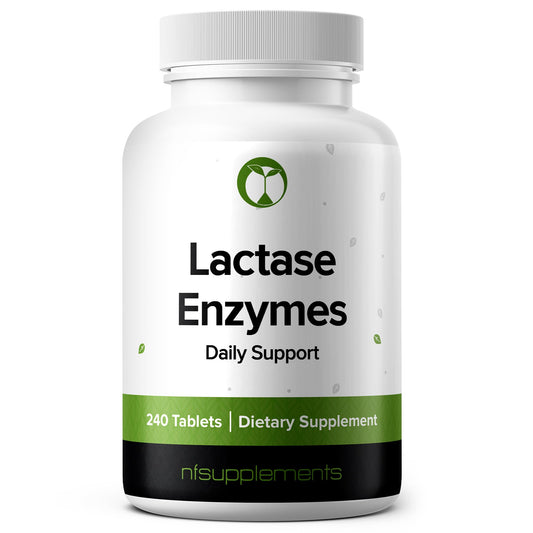 Lactase supplement bottle showing 240 tablets
