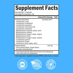 Illustration of Lactobacillus Acidophilus probiotics