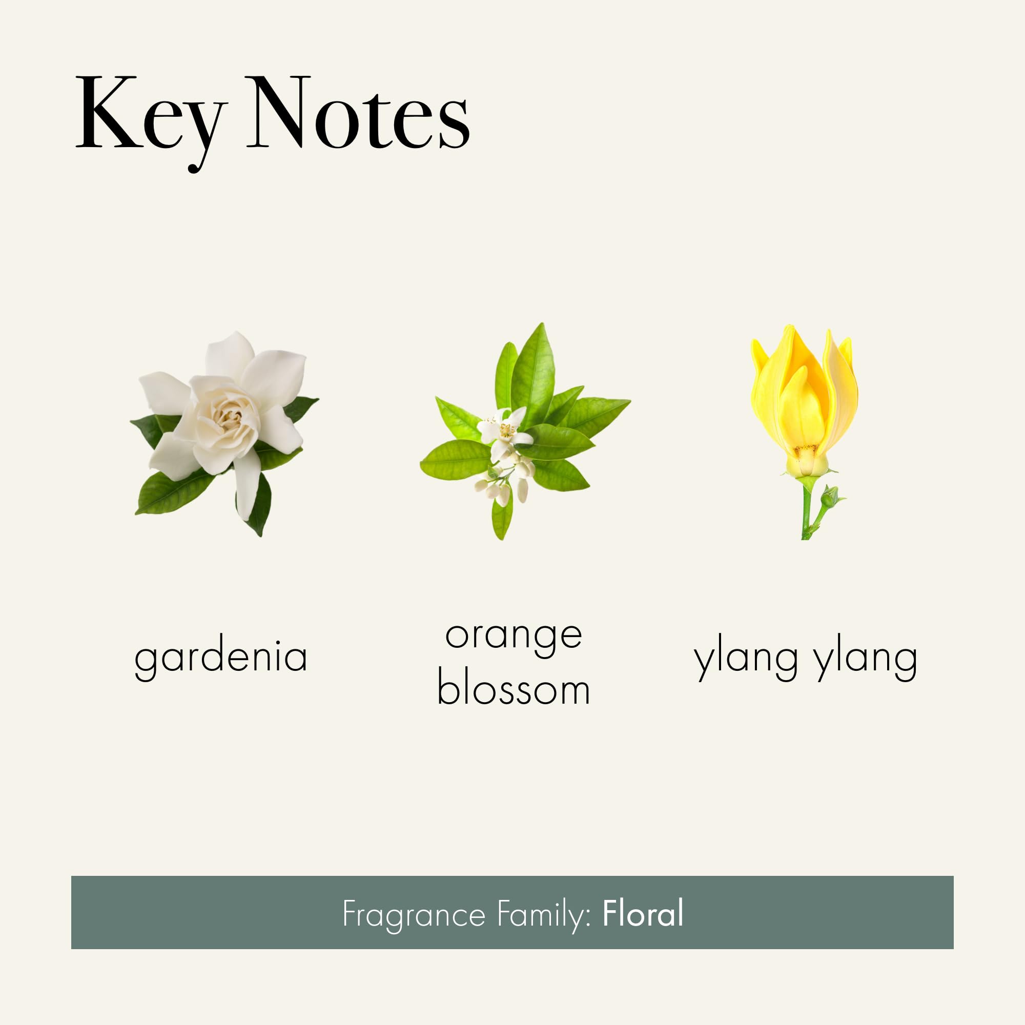 LAFCO New York 3-Wick Candle wax and wicks close-up showing slow, even burn.