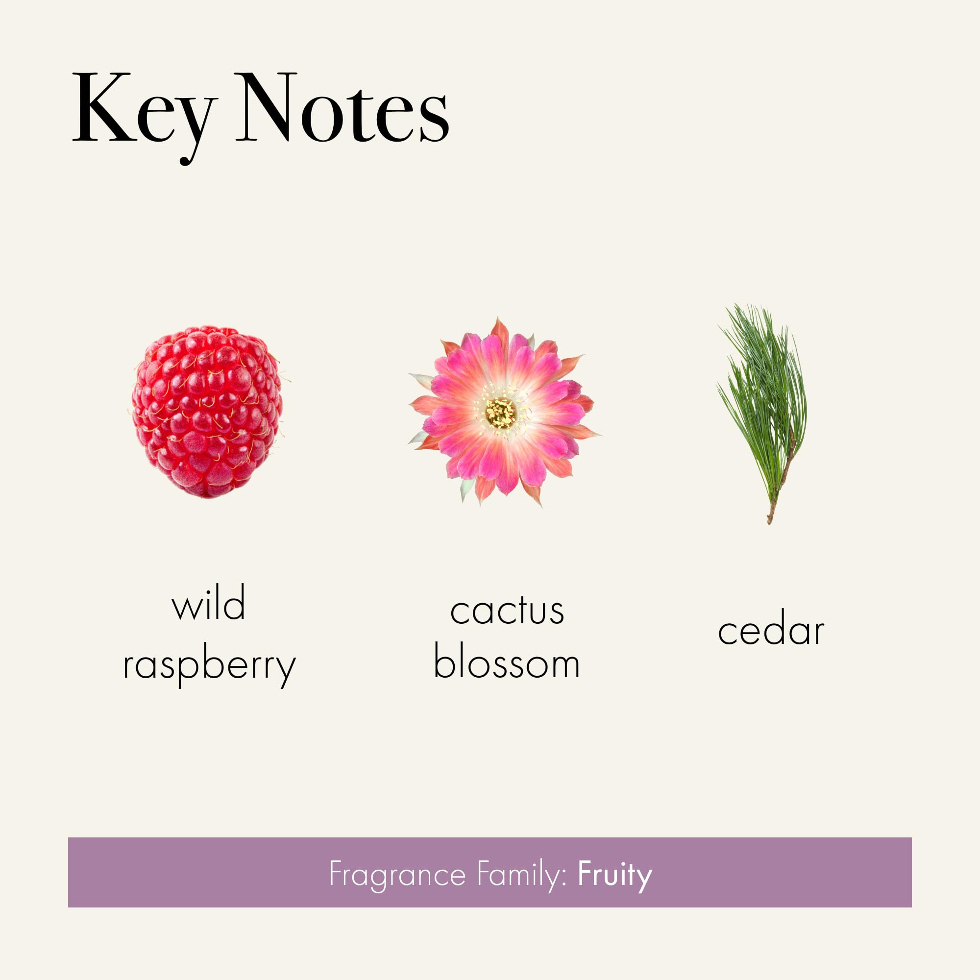 LAFCO New York Midnight Cactus diffuser in living room setting creating desert oasis mood