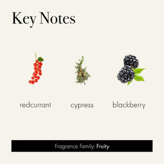 Midnight Currant candle label showing 15.5oz by LAFCO New York