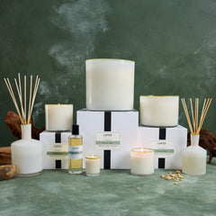 Two-pack presentation for gifting or multi-room use