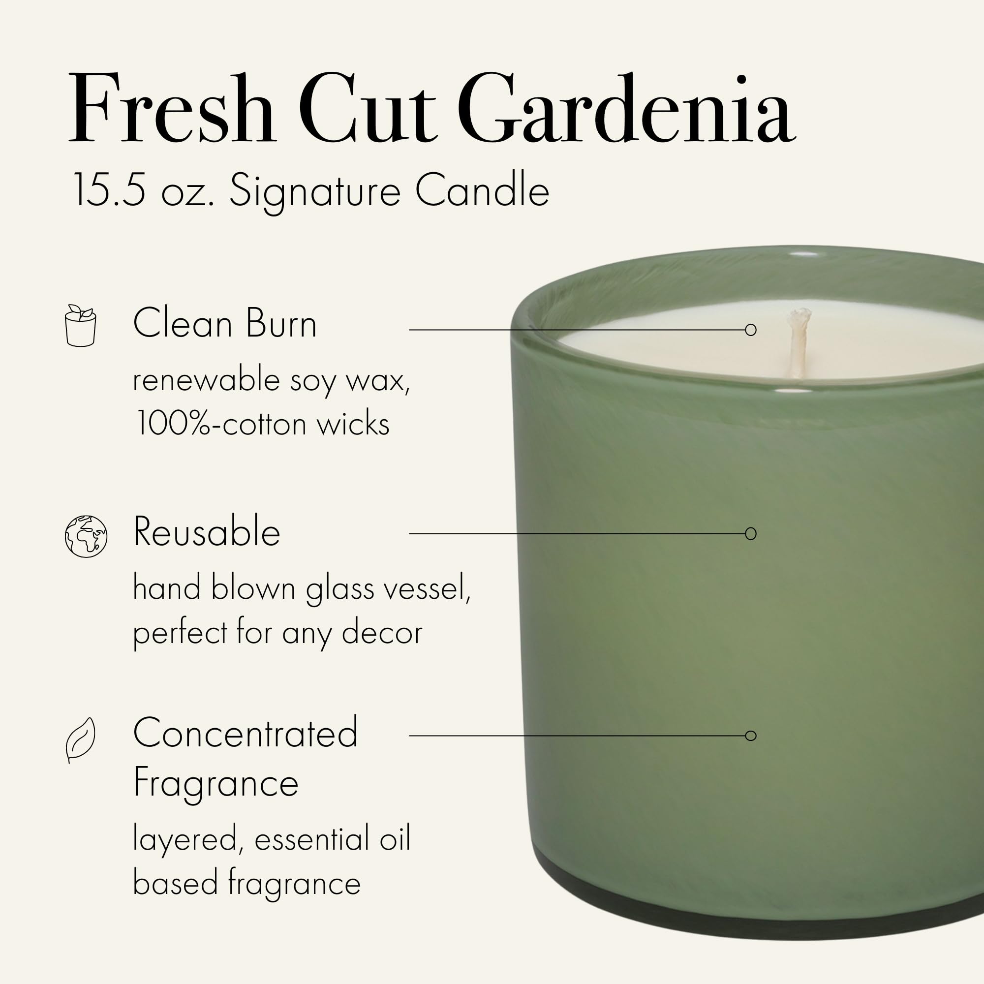 Gardenia fragrance notes with cedar, orange blossom and ylang ylang