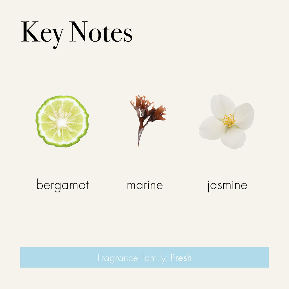 LAFCO New York Marine candle scent profile close-up with sea jasmine and rose notes