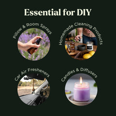 Steam-distilled Lagunamoon Lavender Essential Oil production process