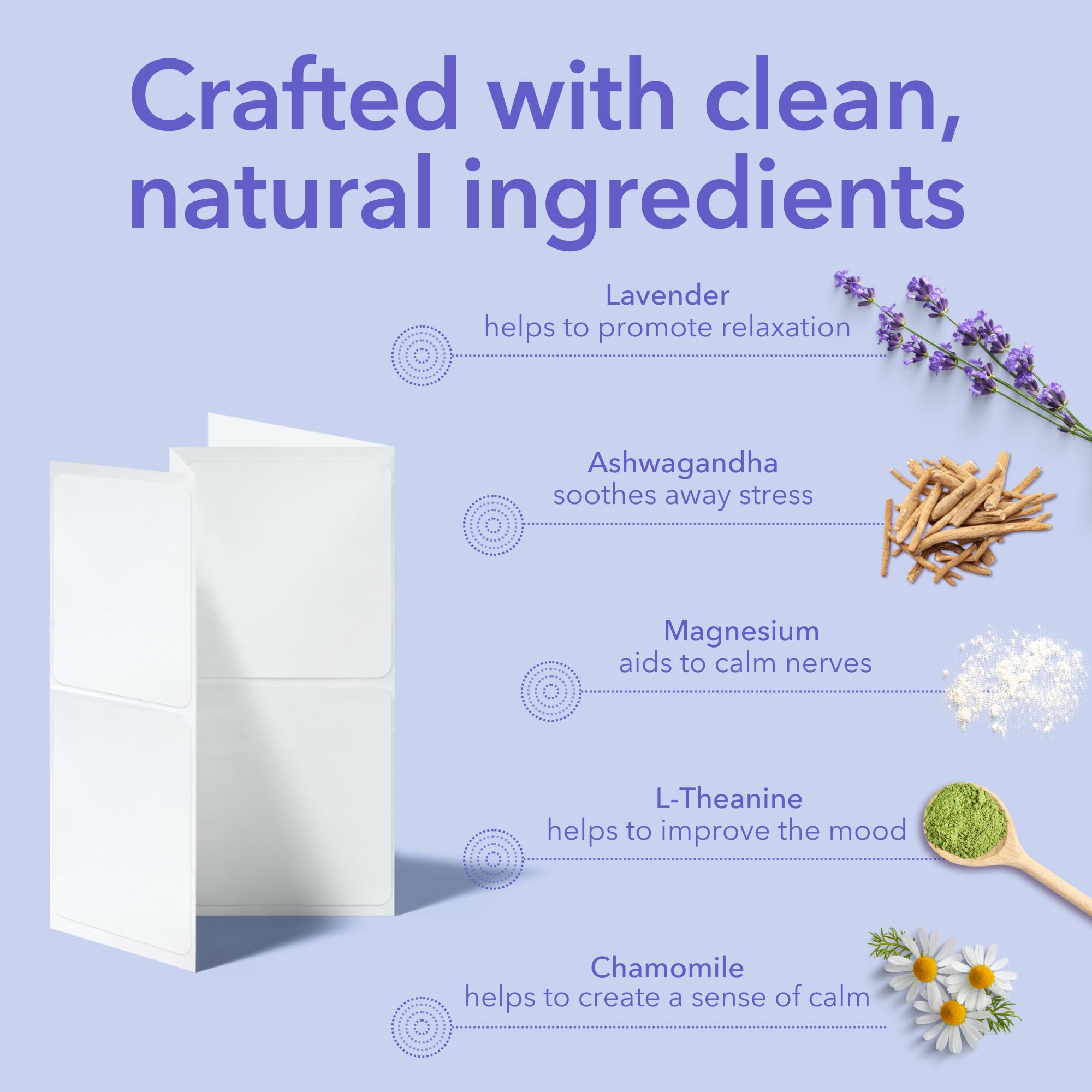 Illustration of key natural ingredients: Ashwagandha, Lavender, Chamomile, L-Theanine, Magnesium