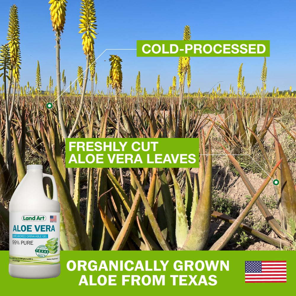 Supports gut health and digestion