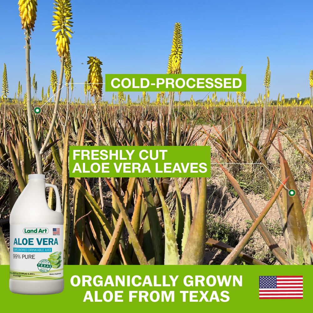 Cold-pressed aloe vera juice preserving enzymes