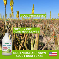 Back view of Land Art Aloe Vera Juice Pomegranate 64 oz bottle