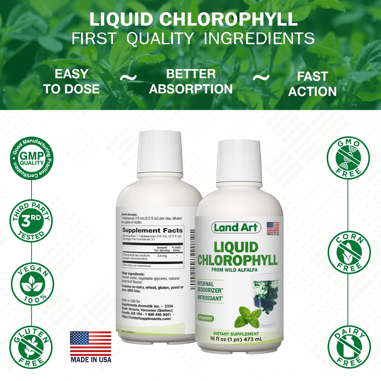 Ingredients of Land Art Liquid Chlorophyll Mint