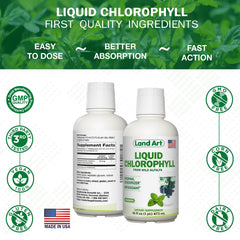 Ingredients of Land Art Liquid Chlorophyll Mint