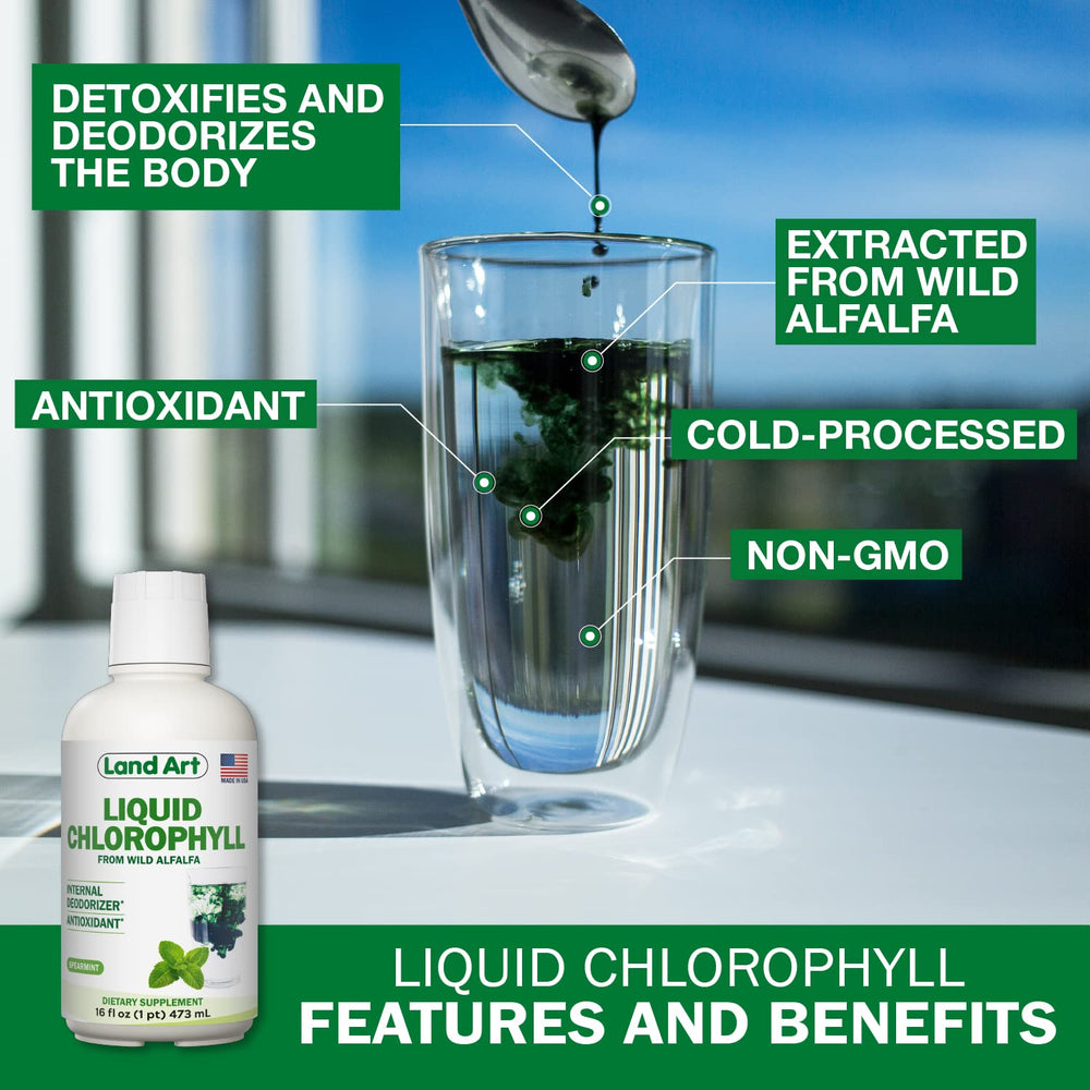 Instruction showing how to use Land Art Liquid Chlorophyll Mint with water