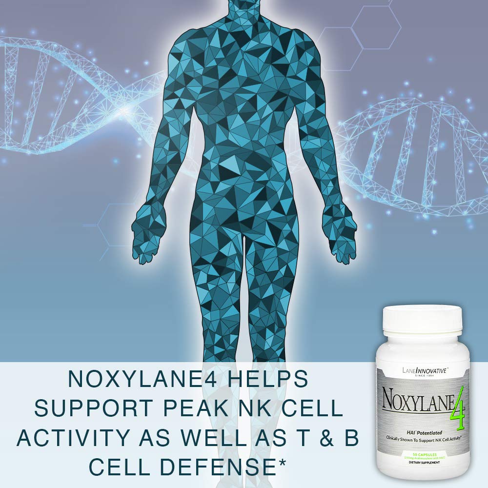Graphic illustrating immune support and NK cell activity