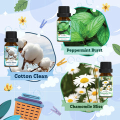 Chamomile Bliss fragrance oil for diffusers and crafts