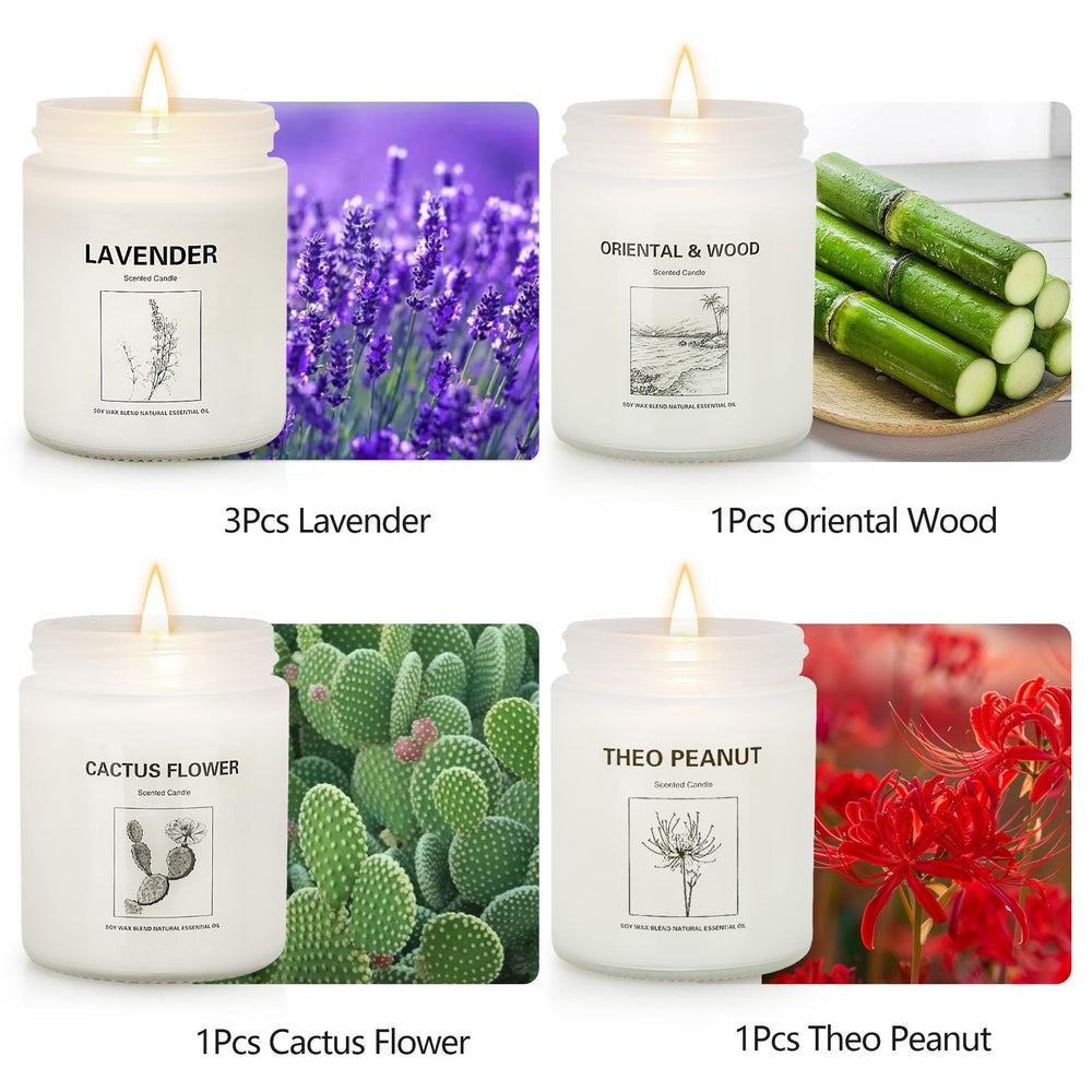Lavender candle gift set in a 6-pack
