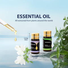 Lavender essential oil 5ml by SACATR