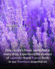 Lavender essential oil used in candles, soaps, and baths