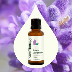 Lavender essential oil diffusing aroma
