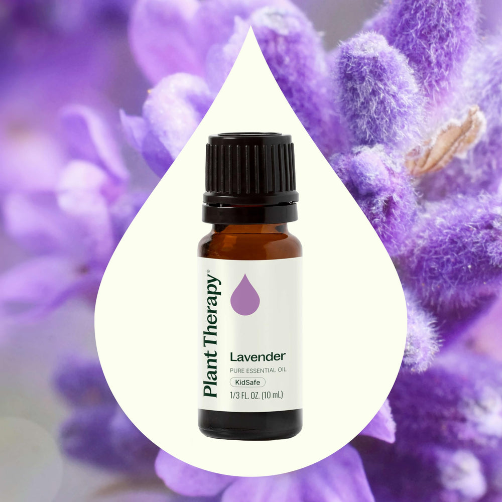 Lavender oil used in aromatherapy diffuser for relaxation