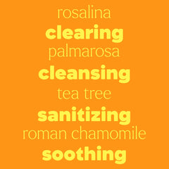 Close-up of lavender, rosalina, tea tree, palmarosa, and roman chamomile oils