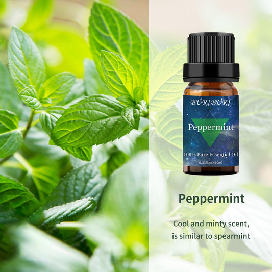Lavender essential oil 10ml bottle