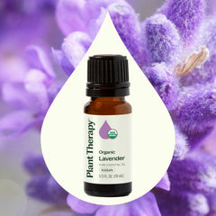 Close-up of Organic Lavender flowers beside the oil bottle
