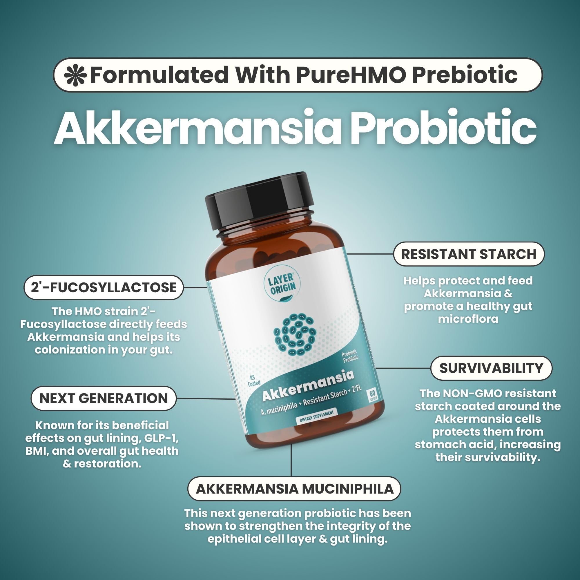 HMO 2'-Fucosyllactose feeding Akkermansia for colonization