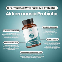 HMO 2'-Fucosyllactose feeding Akkermansia for colonization